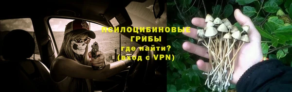 apvp Арсеньев