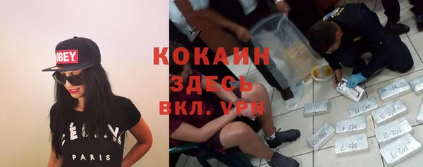 apvp Арсеньев