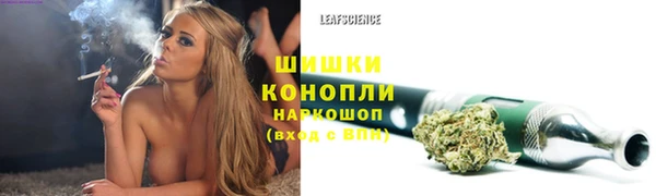 apvp Арсеньев